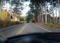 Road close to Frankfort city