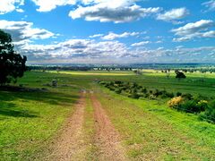 Grassy plains in inland Verona